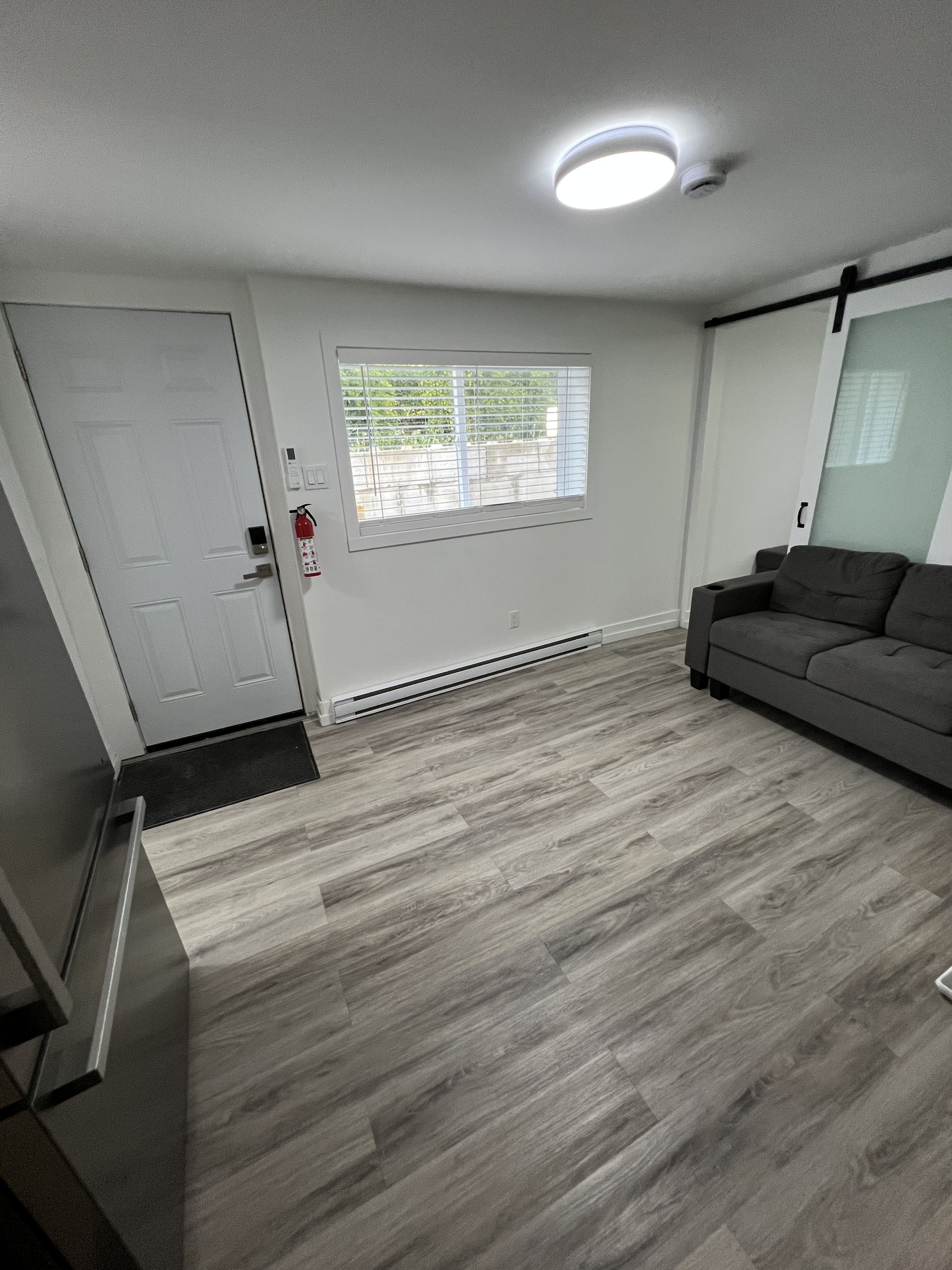 Living room and private entrance of Apartment 4